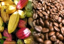 Los precios del cacao y el café siguen aumentando