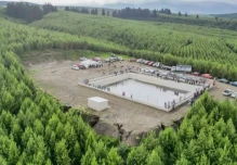 Exportaciones forestales de Ecuador alcanzan cifra récord en 2025 y crecen más del 13%