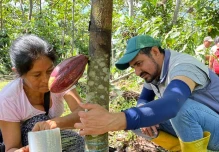 Productores de Napo buscan incrementar la producción de cacao