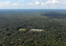 El área protegida del Yasuní crecerá de 60.000 a 100.000 hectáreas
