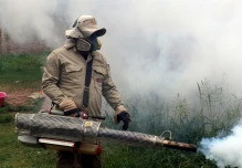 El gobierno declaró alerta epidemiológica en 3 provincias por brote de dengue
