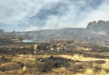 Perú extinguió 9 incendios forestales que afectaron más de 900 hectáreas