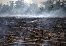 Seis países firmarán pacto por la Amazonía
