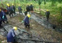  Parlamentarios de Ecuador, Colombia y Perú exigen cese de actividad petrolera en Amazonía