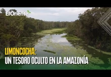 Laguna Limoncocha, el secreto mejor guardado de la Amazonía
