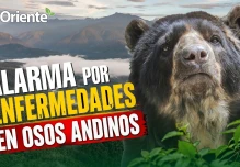 Noticias de Ecuador hoy. Podcast Noti Oriente [22 de mayo de 2026]