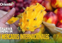 Noticias de Ecuador. Podcast Noti Oriente [24 de diciembre de 2025]
