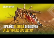 Noticias de Ecuador. Podcast Noti Oriente [24 de enero, 2024] 