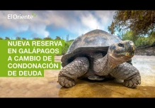  Noticias Ecuador. Noticiero El Oriente 05-11-2021