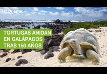 Noticias Ecuador. Podcast Noti Oriente 16-12-2022