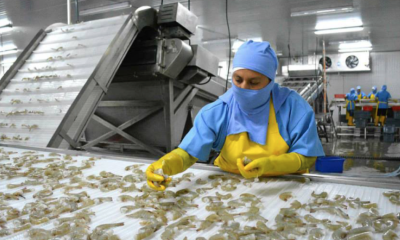 La medida, aplicada desde finales de junio de 2026, impide que los productos procesados por estas empresas ingresen al mercado chino / Foto: cortesía 