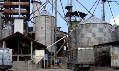 La piladora Arrocesa, ubicada en Yaguachi, incrementó su capacidad en 1.000 toneladas adicionales / Foto: MAG