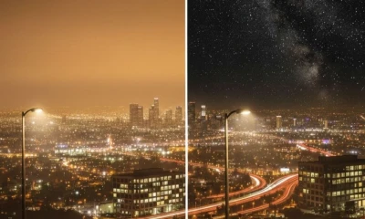 Diversos estudios han demostrado que la contaminación lumínica afecta a la fauna, alterando sus ciclos naturales y comportamientos / Foto: cortesía IIGE