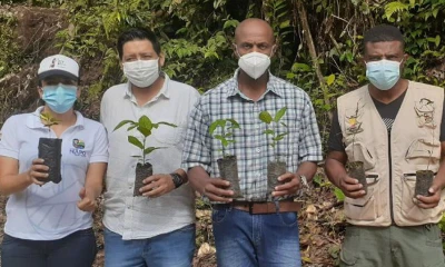 340 habitantes de Napo participaron en la minga de reforestación / Foto: cortesía ministerio de Ambiente