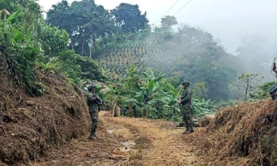  Las operaciones las realizó la Dirección de Carabineros y Protección Ambiental / Foto: cortesía Ejército colombiano 