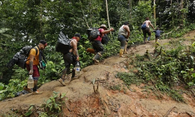 Número de migrantes que cruzaron el Tapón del Darién en enero se cuadriplicó / Foto: EFE