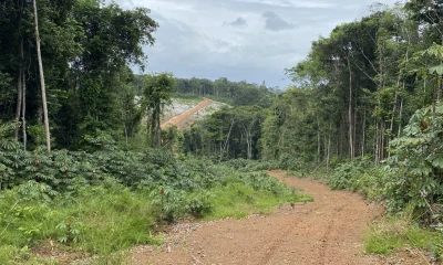 En 2024 se asignaron varios lotes nuevos de minería a pequeña escala / Foto: cortesía Mining Services 