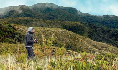 Las heliconias crecen en cualquier espacio y embellecen este paisaje. Foto: El Comercio