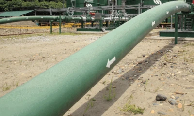 La Unidad Anti Secuestros y Extorsión (Unase) de la Policía detuvo en Sucumbíos y Guayas a ocho personas relacionadas con la dos detonaciones en el oleoducto de Petroamazonas. Foto: Archivo / EL COMERIO