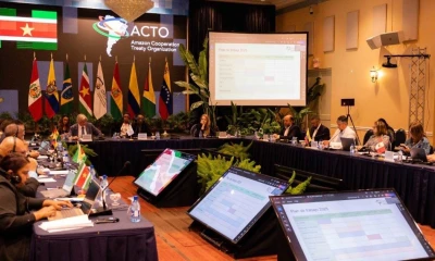 La OTCA desempeña un papel importante en la protección de la Amazonía / Foto: cortesía OTCA