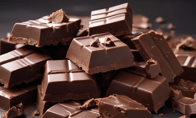 Ecuador es el cuarto productor mundial de cacao y el primero en cacao fino de aroma / Foto: Pixabay