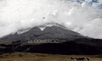 Foto: El Comercio
