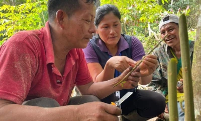 Los productores de la comunidad Wambula participaron en el taller / Foto: cortesía MAGP