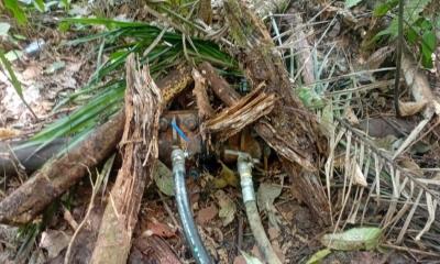 La acción se realizó en la vía al río Aguarico, en el sector 11 de Julio / Foto: cortesía Ejército