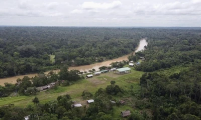 La diversidad de peces en el Parque Nacional Yasuní se debe a múltiples factores ecológicos y biogeográficos / Foto: EFE