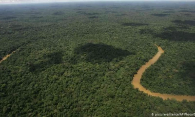 La fiebre del oro negro amenaza los tesoros del Parque Natural Yasuní. Foto: D. Ochoa vía DW.