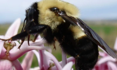 La investigación incluye 1.756 registros de diecisiete de las veinticuatro provincias del país / Foto: cortestía Mtent.org