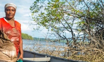 El país alcanzó un total de 101.099 hectáreas de manglar bajo custodia comunitaria / Foto: cortesía MAE