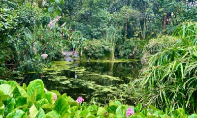 La experiencia nocturna brinda sonidos y colores en el parque La Carolina / Foto: cortesía Lorena Hurtado