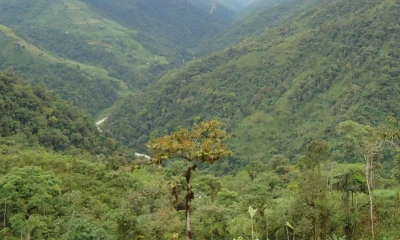 La central hidroeléctrica Ocaña II tendrá 29 MW / Foto: cortesía ElecAustro
