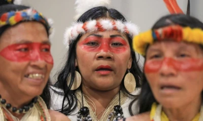 Más del 96 % de los grupos en aislamiento se enfrenta a amenazas de industrias extractivas, como la tala, la minería y la perforación de petróleo y gas / EFE