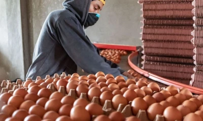 Principales noticias de Ecuador hoy - 2 de abril de 2026 / Foto: cortesía 