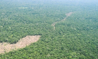 En el parque Chiribiquete se documentaron más de 500 hectáreas deforestadas / Foto: cortesía MAAP