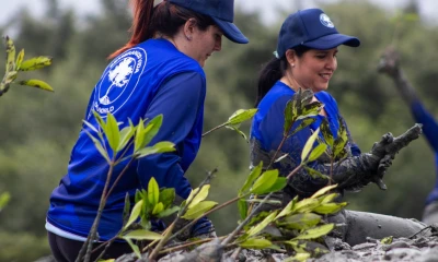 Esta iniciativa busca reducir sus emisiones de carbono en un 42 % para 2030 / Foto: cortesía DP World Posorja
