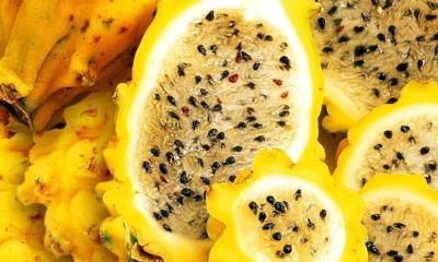 El proyecto forma parte de la iniciativa NEXT, respaldada por fondos de la Unión Europea y el Centro de Comercio Internacional (ITC) / Foto: cortesía 