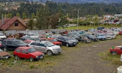 Entre los requisitos constan tener la matrícula y revisión vehicular al día, no registrar multas pendientes y entregar vehículos completos y funcionales / Foto: cortesía Bioreciclar