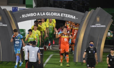 Delfín no levanta cabeza en la Copa / Foto: EFE