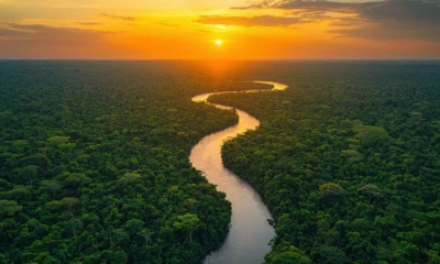 También promueve una gestión sostenible e integrada de los ecosistemas dulceacuícolas / cortesía Mashpi Lodge