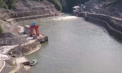 La ministra no precisó si la medida aplica a todas las garantías / Foto: cortesía 