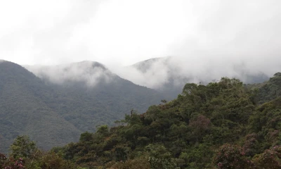 Parque Podocarpus, un enorme jardín botánico en Zamora / Foto: El Oriente