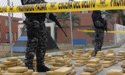 Aprehensión de droga en bananos de Ecuador superó las 10 toneladas desde 2020 / foto cortesía Ministerio de Gobierno