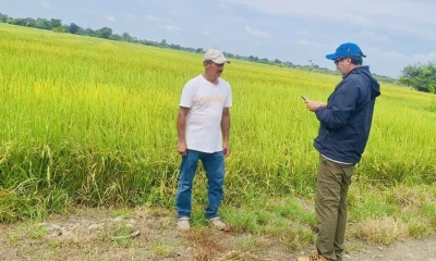 Hasta la fecha, unos 7.000 productores han sido censados tras las verificaciones en campo de las últimas semanas / Foto: cortesía MAGP