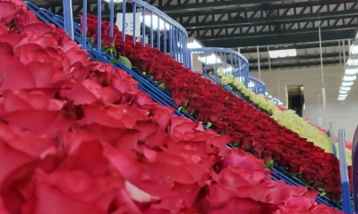 Principales noticias de Ecuador hoy - 11 de febrero de 2025 / Foto: cortesía Nicolás Larenas