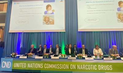 La ONU reconoce oficialmente las propiedades medicinales del cannabis. Foto: EFE