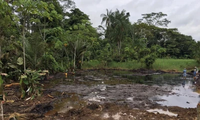 Confeniae denuncia derrame de crudo en Limoncocha / Foto: cortesía de la Confeniae
