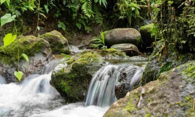 Los recursos permitirán ejecutar el proyecto FORECCSA+, una iniciativa orientada a fortalecer la resiliencia comunitaria / Foto: cortesía MAE